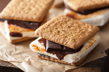homemade marshmallow s'mores with chocolate on crackers