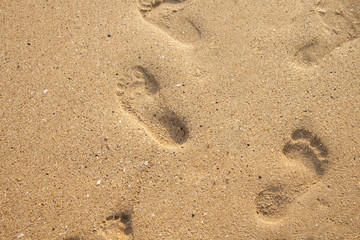 Fototapeta na wymiar Footsteps in the beach sand