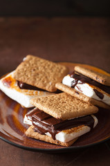 homemade marshmallow s'mores with chocolate on crackers