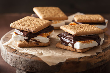 homemade marshmallow s'mores with chocolate on crackers
