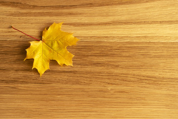 Maple tree leaf on a a wooden background.