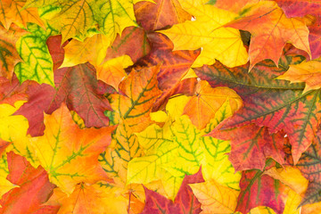 Naklejka na ściany i meble Autumn colorful leaves. Top view. Fall pattern.