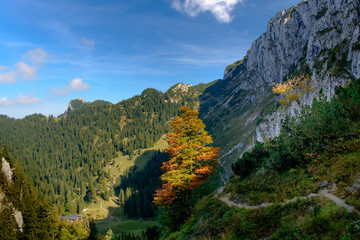 Herbstlandschaft Benediktenwand