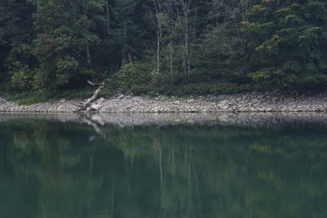 Forest lake with reflection. View of Lake Biograd, Biogradsko jezero, Biogradska Gora national park, Montenegro