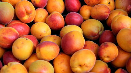 Colored Fresh Apricots On Local Fruits Market  In Germany