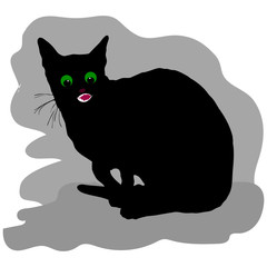 Black cat, angry, sits, label for design on a white background,