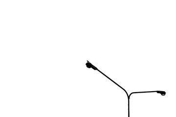 silhouette alone pigeon on lamp post street on white background