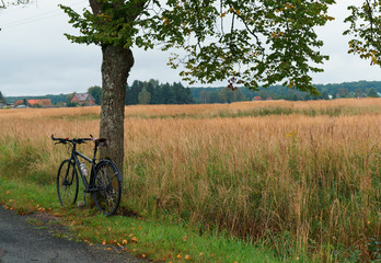 Bicycle travel. A cyclist talking on the phone on the road.