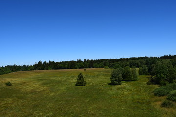 Schwarzesmoor