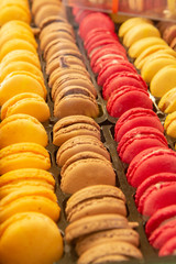 Fresh baked colorful almonds macarons, traditional French cakes