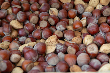 Food background with new harvest of nuts, almonds and hazelnuts in shell