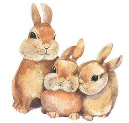 Rabbit on white background.Family.