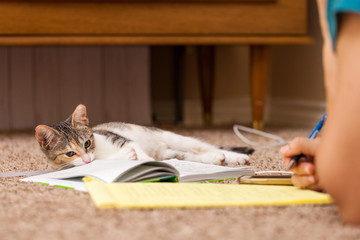 Candid shot of woman taking notes on the floor at home with calico kitten playing