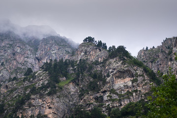 Fototapeta na wymiar Mountain landscape, green peaks and clouds.