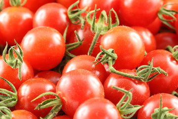 fresh wild currant tomatoes closeup