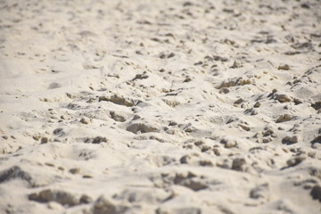 footprints in the sand