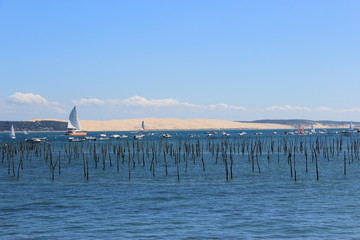 Dune du Pilat