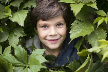 Portrait of a laughing boy among the leaves of wild grapes.