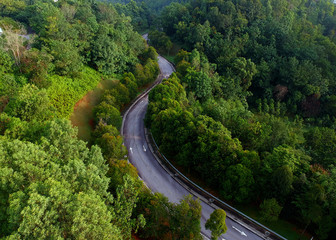 Aerial view of winding road in the forest