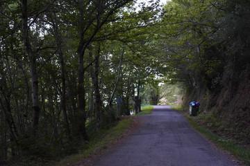 Cubo de basura en la carretera de la montaña 