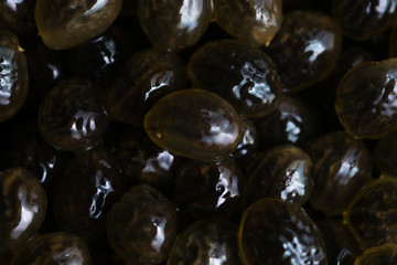 close up of Papaya Seeds