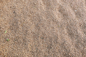 close-up, lots of edible dry chickpeas,dry chickpeas for health, protein source chickpeas,


