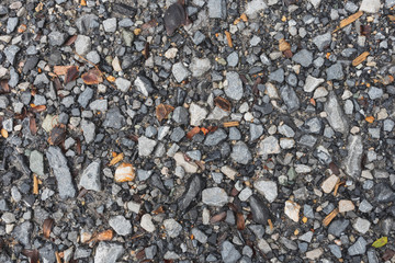 The stone walkway is the background.