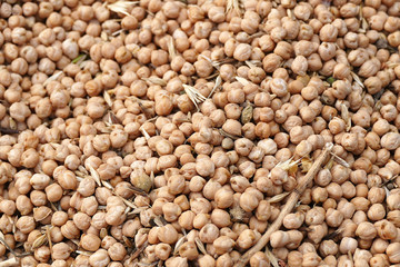 dry chickpeas for packaging.dry chickpeas for health, protein source chickpeas,close-up, lots of edible dry chickpeas,


