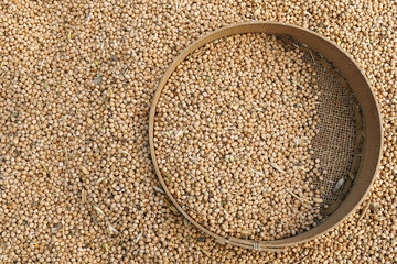 dried chickpeas and manually sieve, sift and clean chickpeas,

