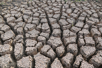 drought and deeply broken soils,global warming and drought,land cleaved from thirst,

