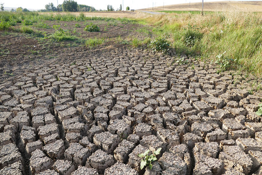 drought and deeply broken soils,global warming and drought,land cleaved from thirst,

