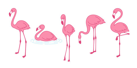 Cartoon pink flamingo vector set icon Cute flamingos collection Flamingo character animal exotic nature wild fauna illustration doodle