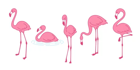Foto auf Acrylglas Flamingo Cartoon rosa Flamingo-Vektor-Set-Symbol Nette Flamingos-Sammlung Flamingo-Charakter-Tier exotische Natur wilde Fauna Illustration doodle