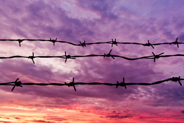 Barbed wires used to help with security