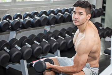 Fototapeta na wymiar Muscular bodybuilder guy doing exercises sitting with weight lifting dumbbells in gym . sport young fitness man training .