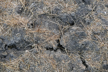 drought cracked and splitting fields, arid fields,
drought-stricken lands, arid fields,


