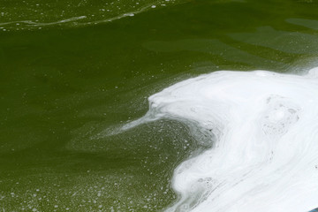 white foam which formed on water

