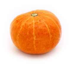 pumpkin close-up in square format, isolated