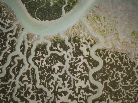 Aerial view of San Fernando marshes, by drone, Bahia de Cadiz, Cadiz, Andalucia, Spain