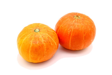pumpkin close-up in square format, isolated