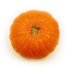 pumpkin close-up in square format, isolated