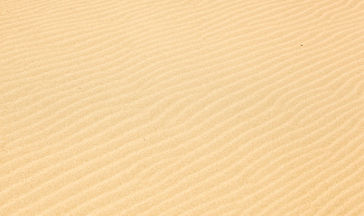 Sand background texture.