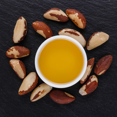 brazil nut on a dark stone background