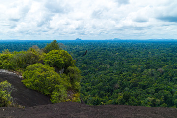 Voltzberg in Surinam part of the Rayleighfalls nature reserve