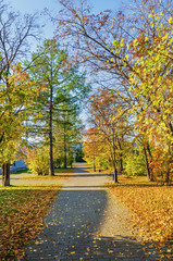 alley in the city Park in autumn