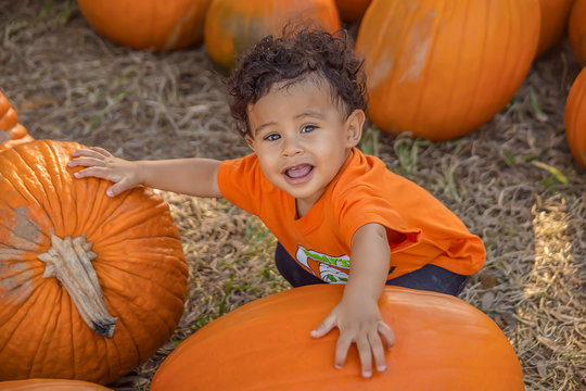 A small boy squats down arms on two pumpkins looking up.