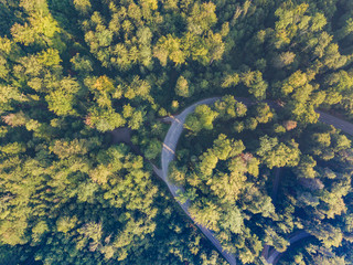 Aerial view of road through forest in Switzerland