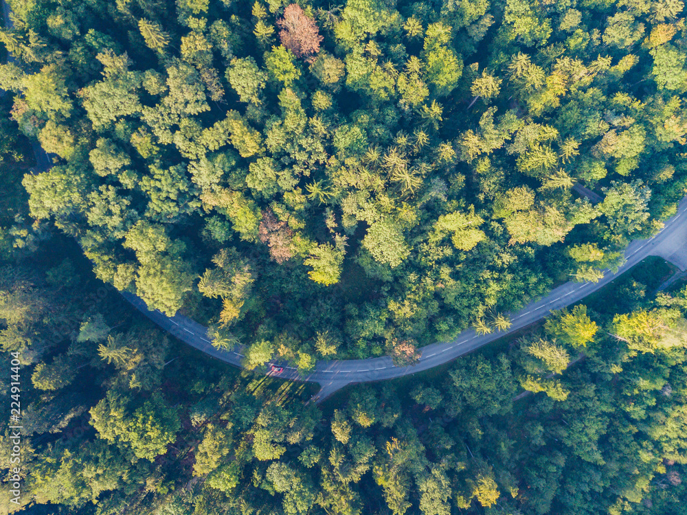 Wall mural Aerial view of road through forest in Switzerland - Wall murals