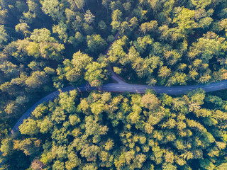Aerial view of road through forest in Switzerland