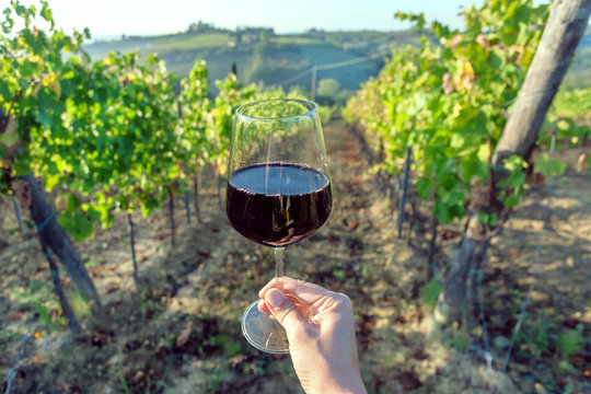 Wine glass in hand of drinker and landscape of Tuscany, with green valley of grapes. Wine beverage tasting in Italy during harvest.